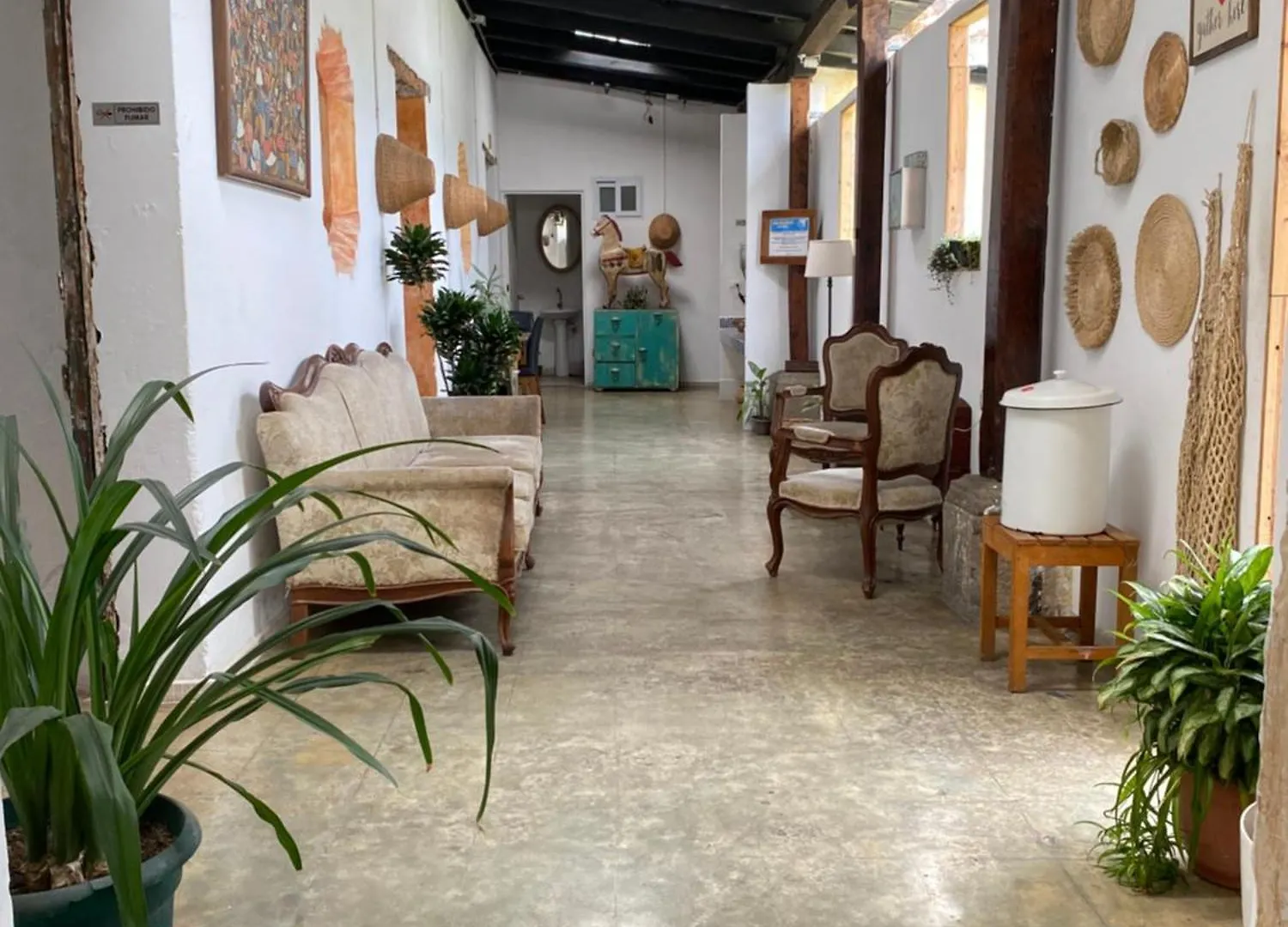 Lemon Tree Hostel Antigua