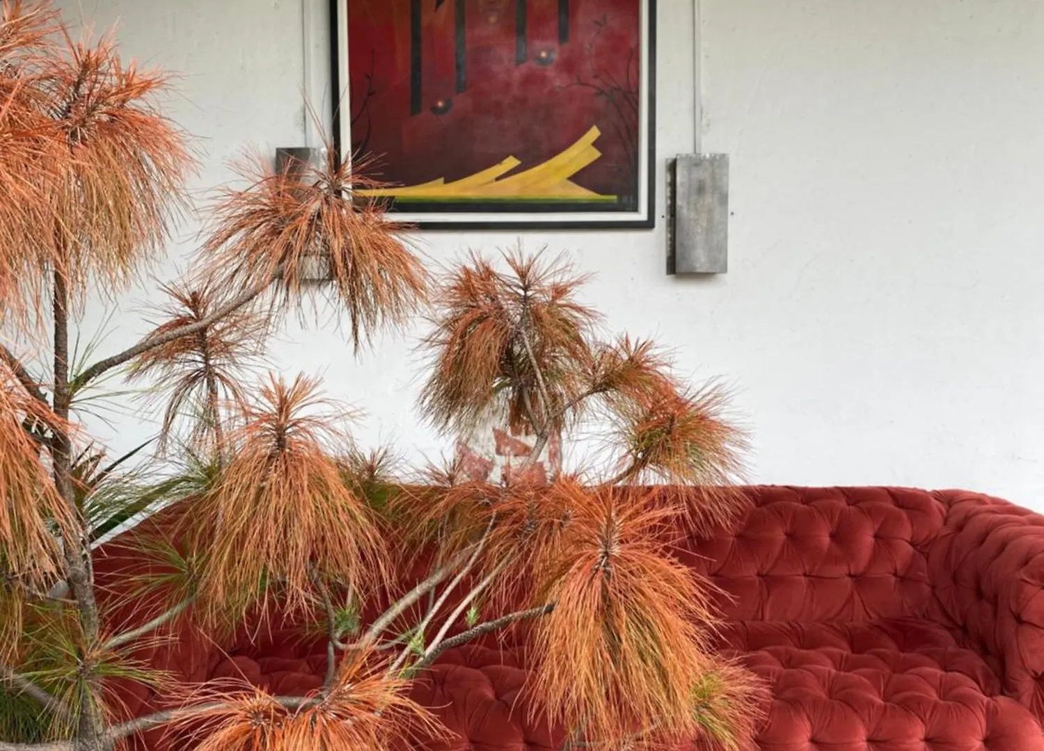 Lemon Tree Hostel Antigua Γουατεμάλα